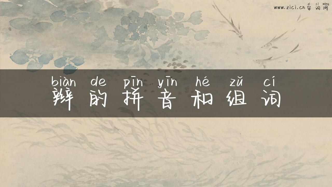 辫的拼音和组词