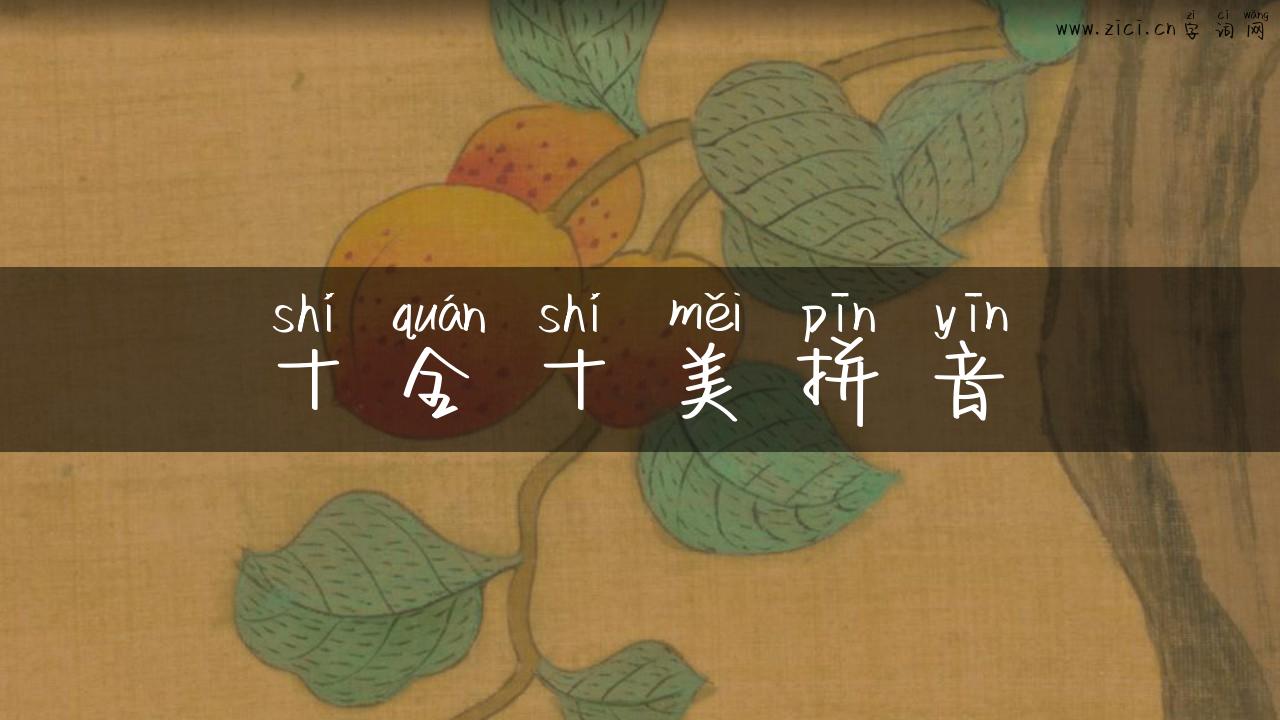 十全十美拼音