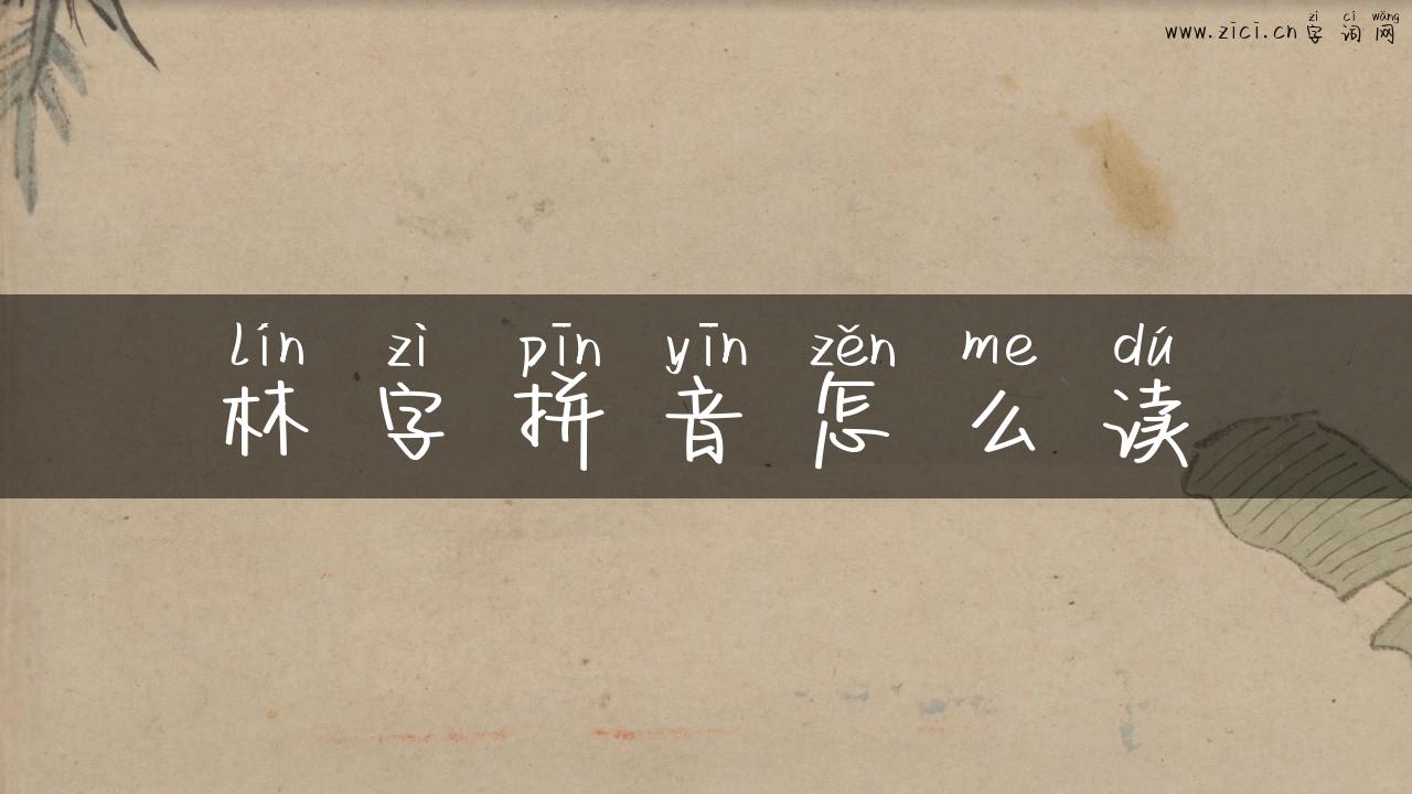林字拼音怎么读