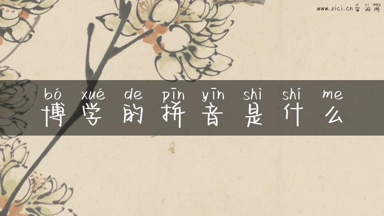博学的拼音是什么