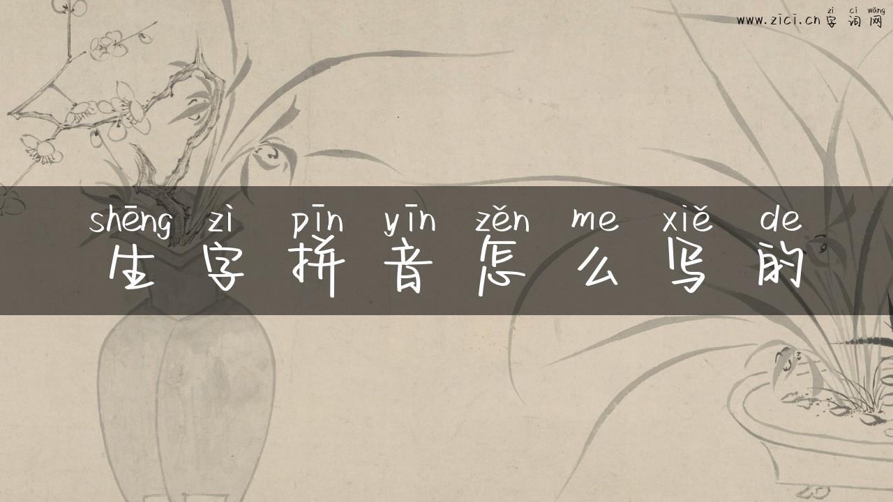 生字拼音怎么写的