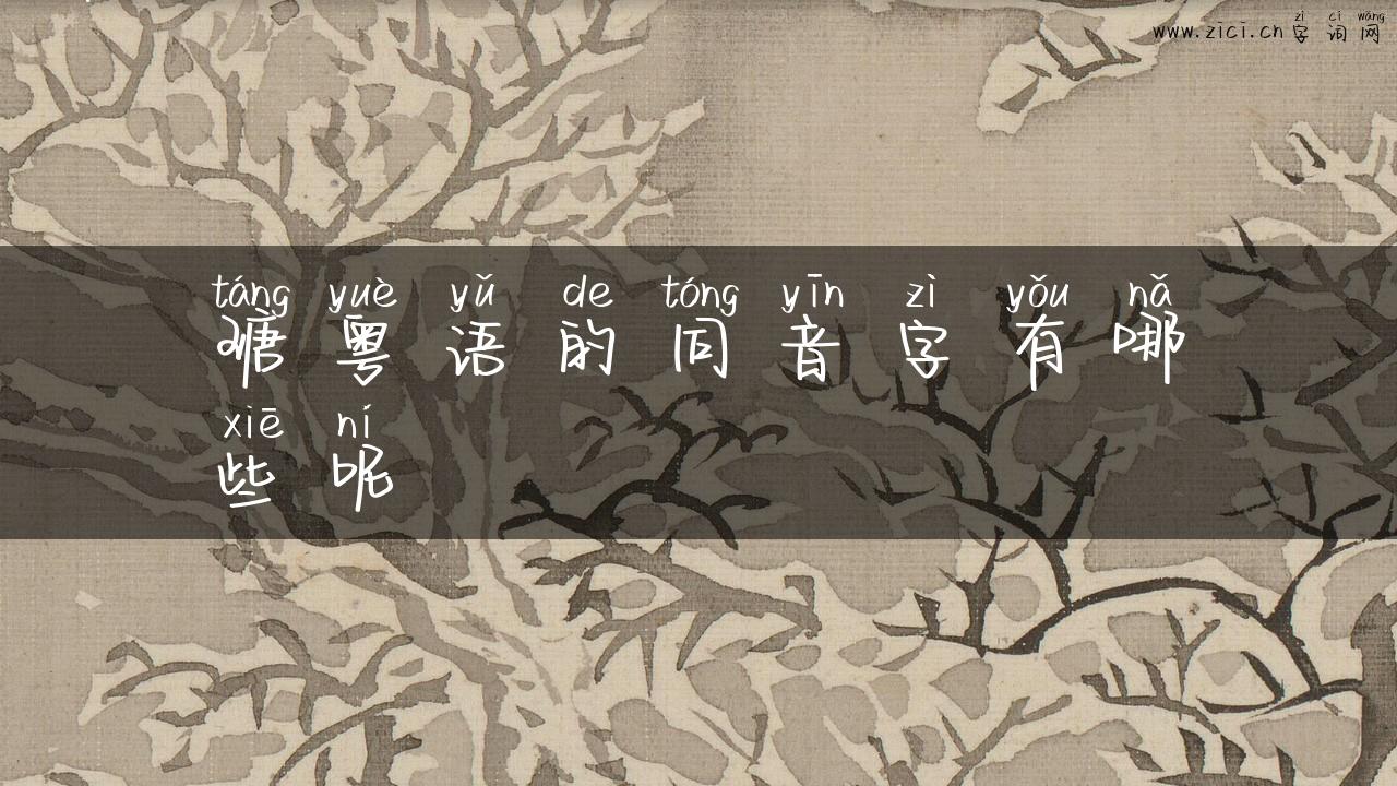 瑭粤语的同音字有哪些呢