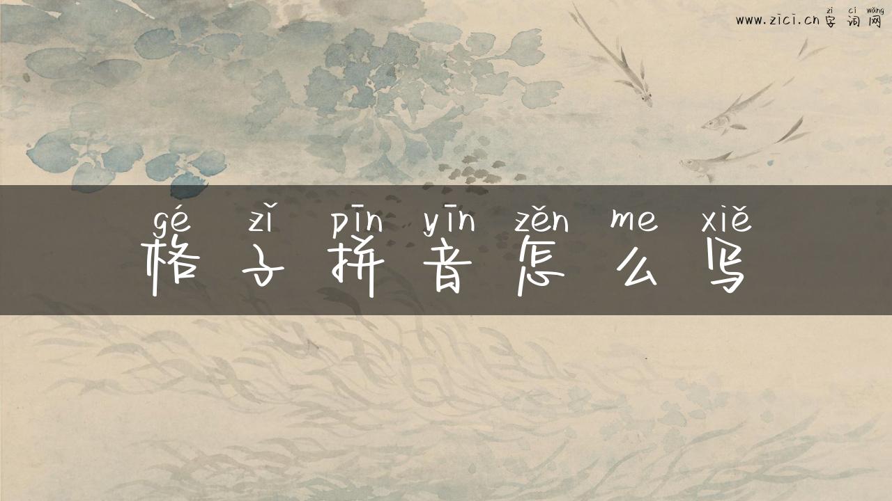 格子拼音怎么写