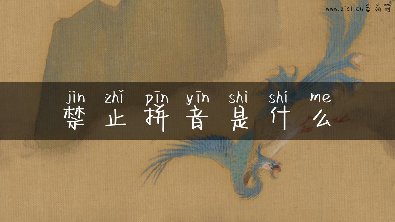 禁止拼音是什么