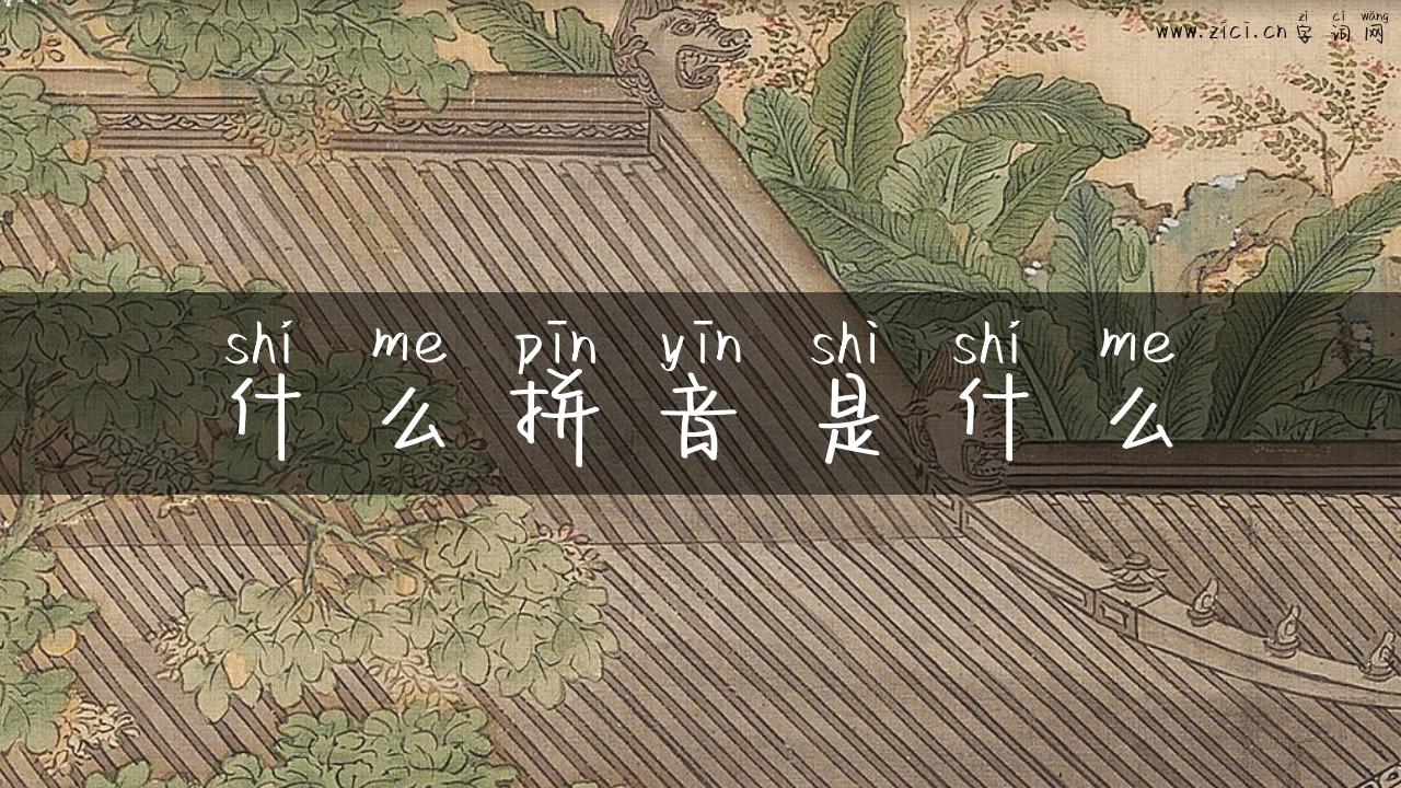 什么拼音是什么