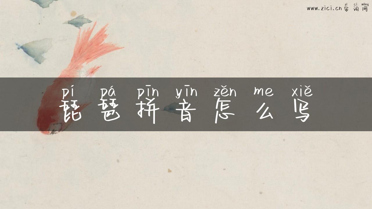 琵琶拼音怎么写