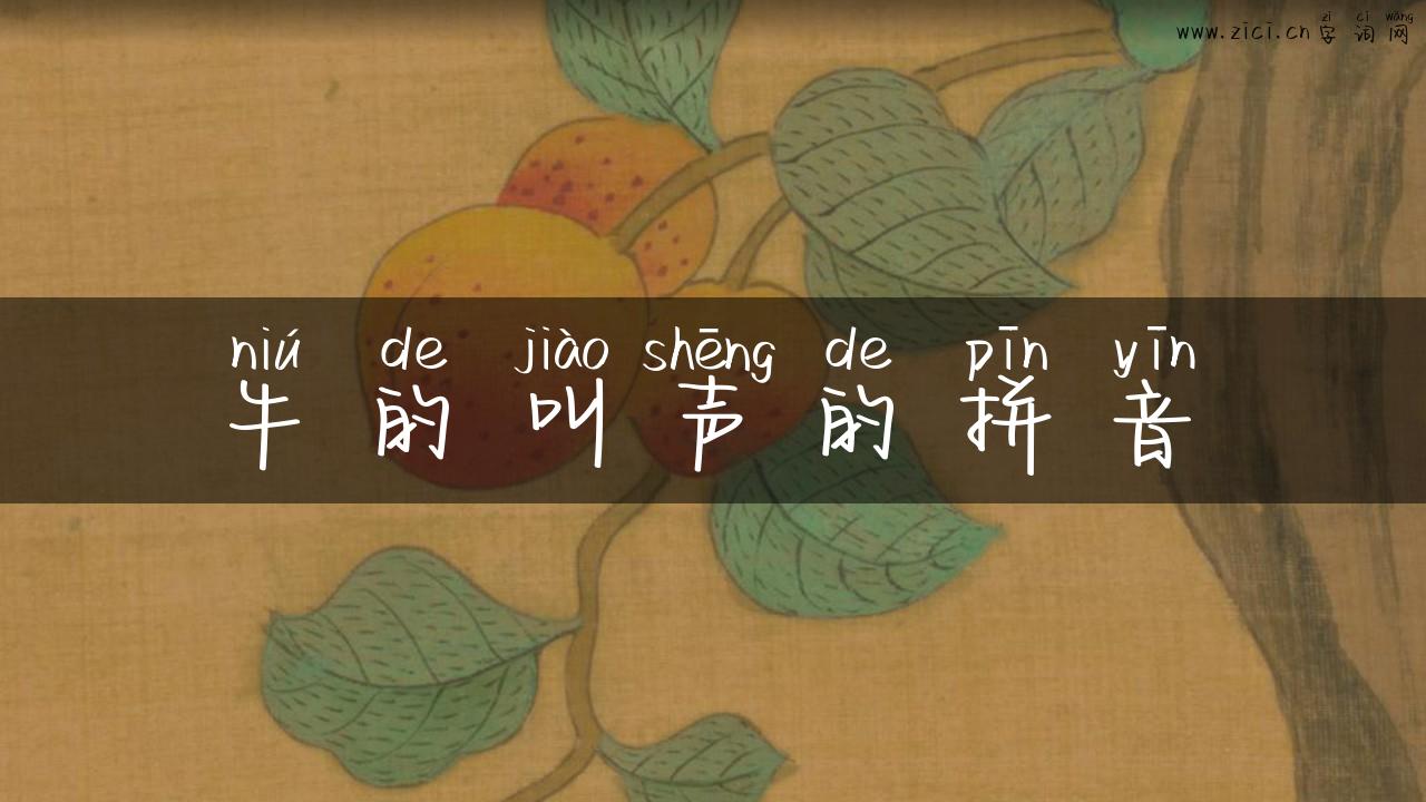 牛的叫声的拼音