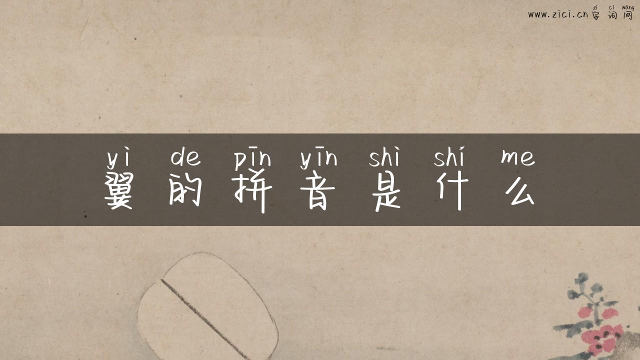 翼的拼音是什么