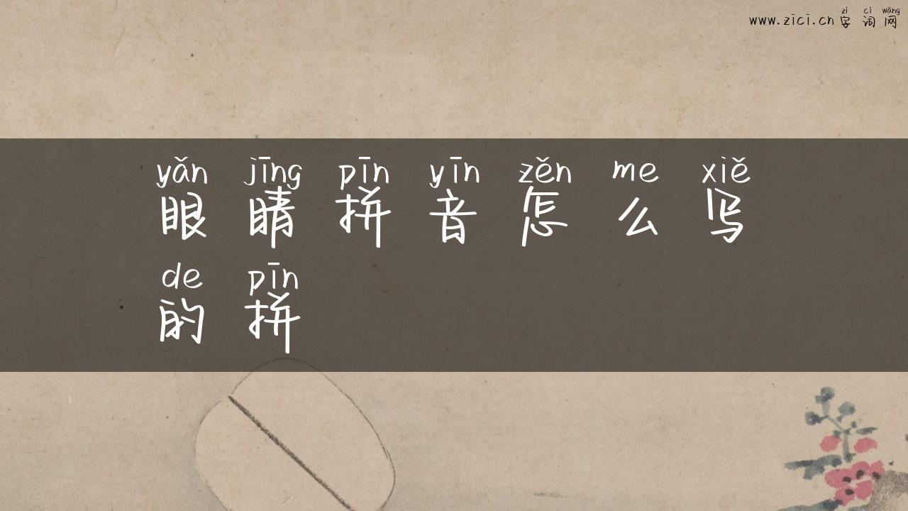 眼睛拼音怎么写的拼