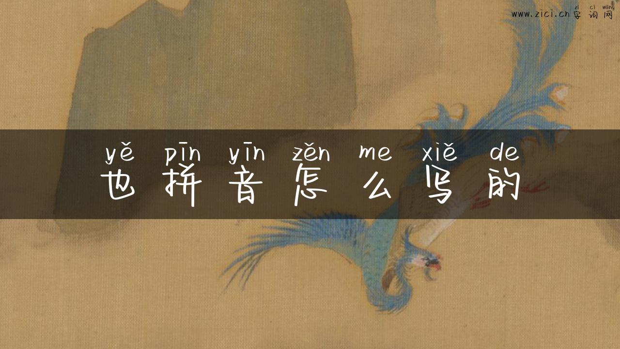 也拼音怎么写的