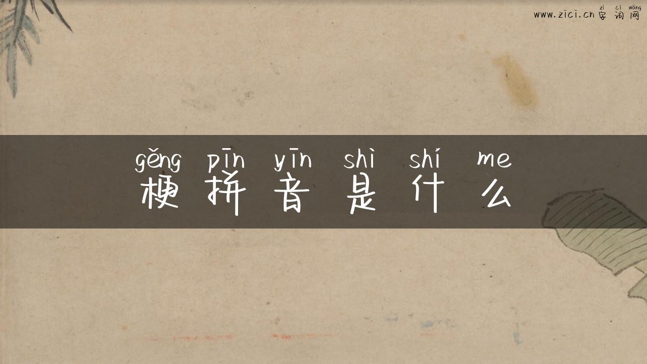 梗拼音是什么
