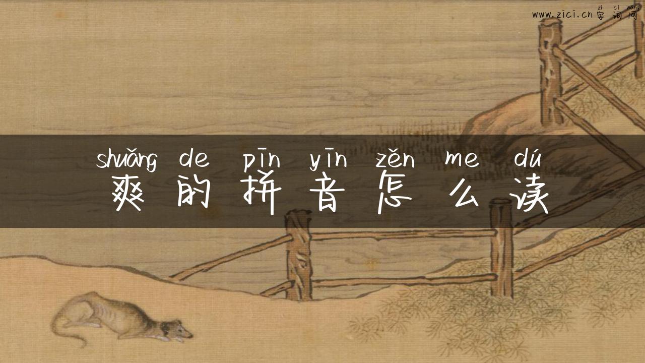 爽的拼音怎么读