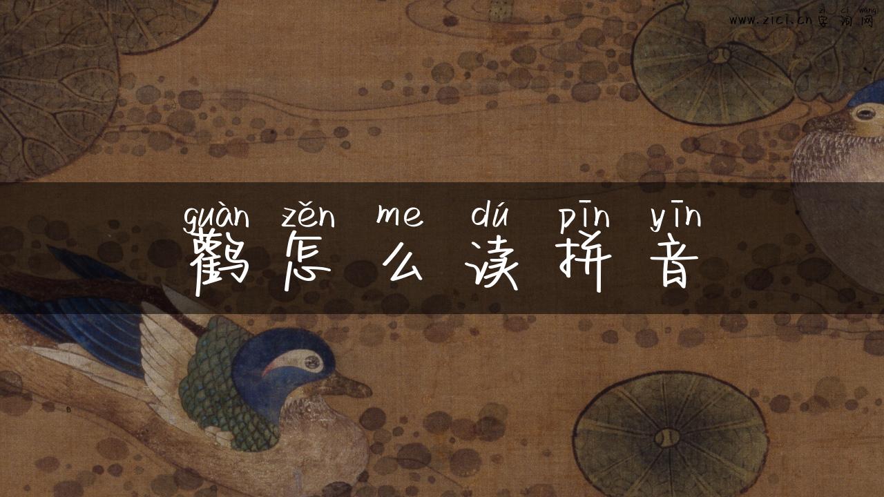 鹳怎么读拼音
