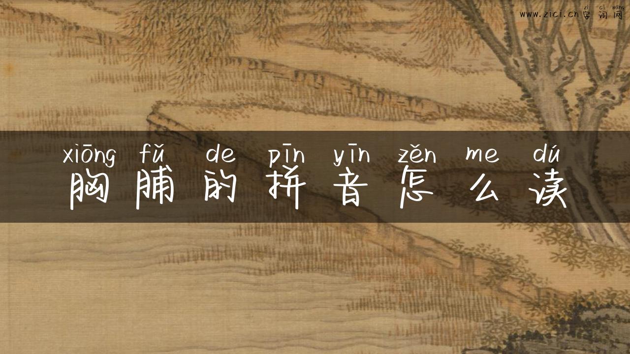 胸脯的拼音怎么读