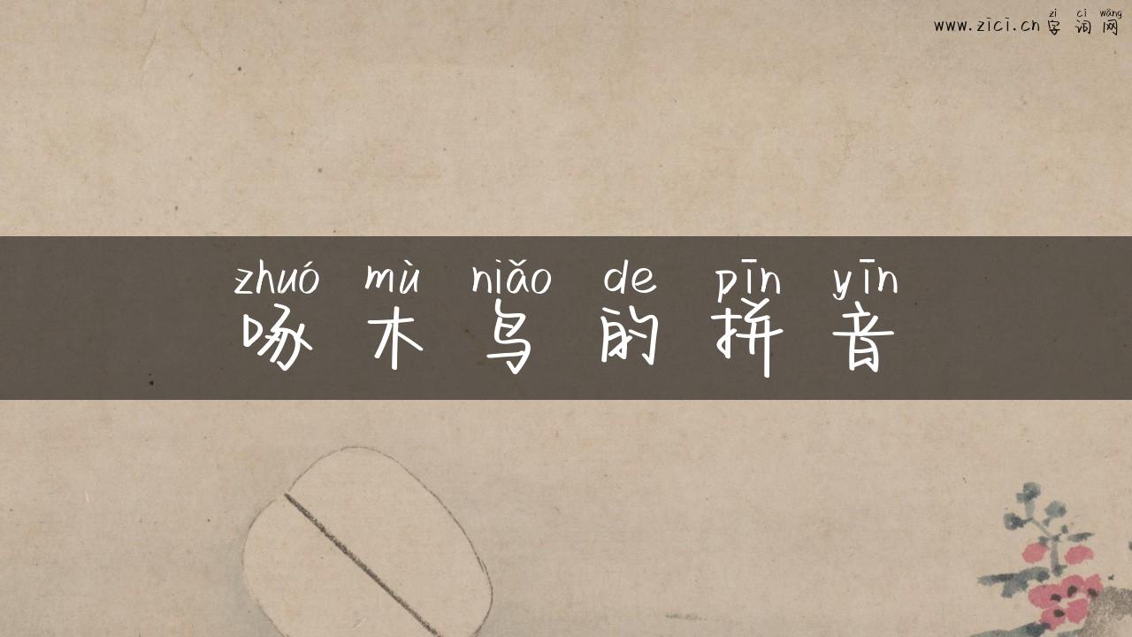 啄木鸟的拼音