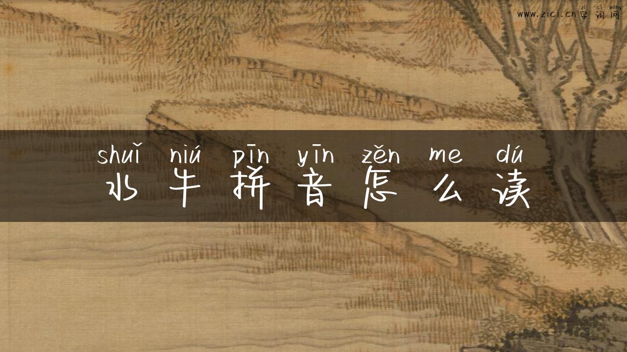 水牛拼音怎么读