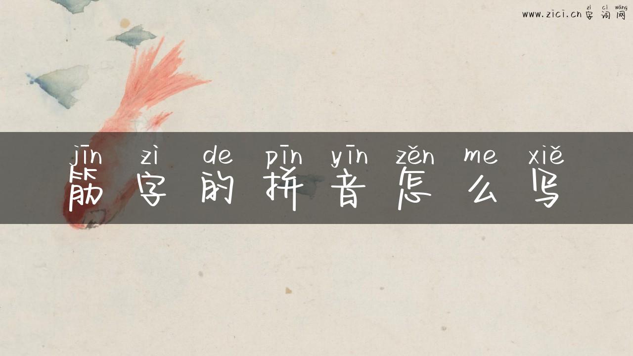 筋字的拼音怎么写
