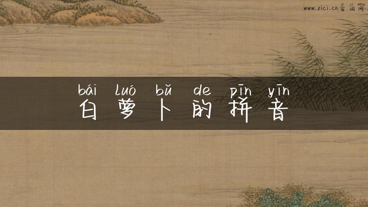 白萝卜的拼音
