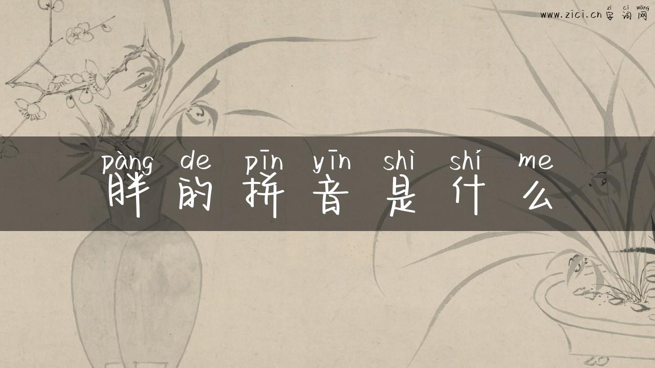胖的拼音是什么