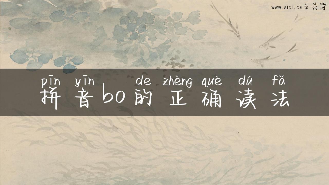 拼音bo的正确读法