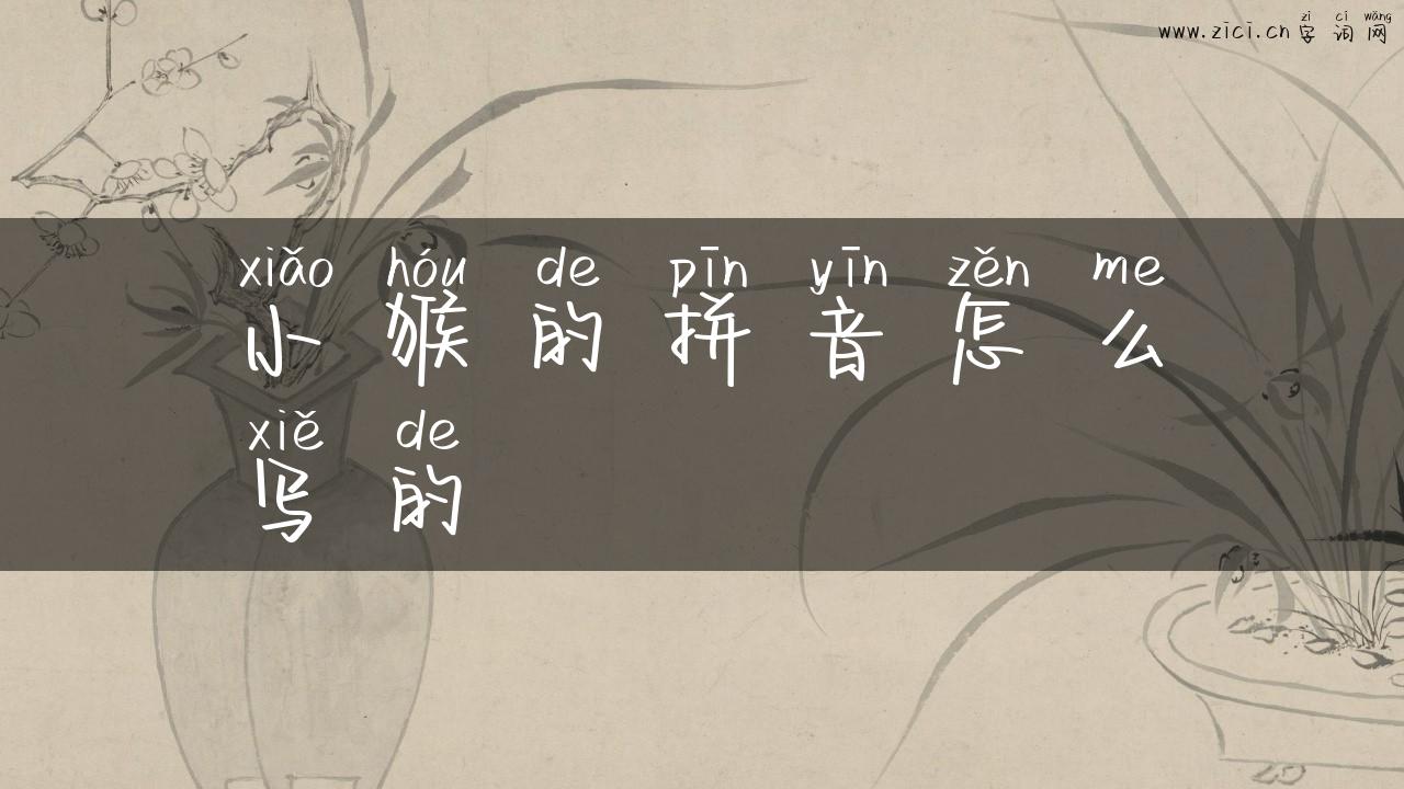 小猴的拼音怎么写的