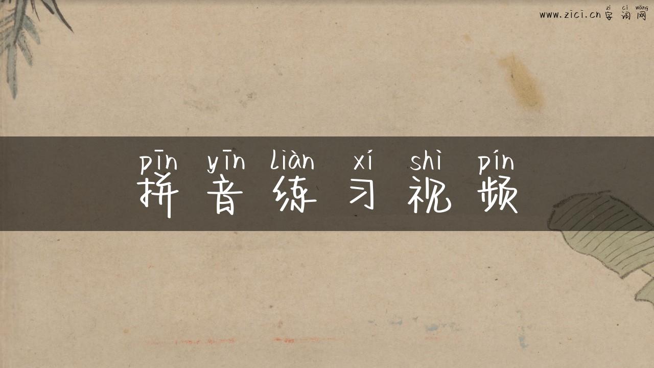 拼音练习视频