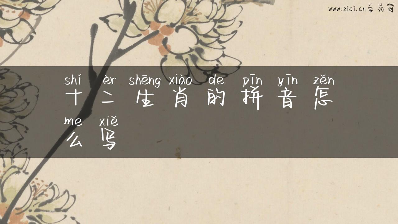 十二生肖的拼音怎么写