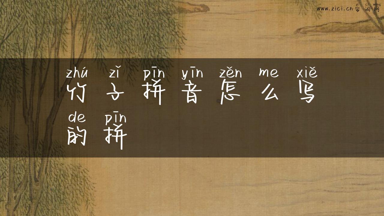 竹子拼音怎么写的拼