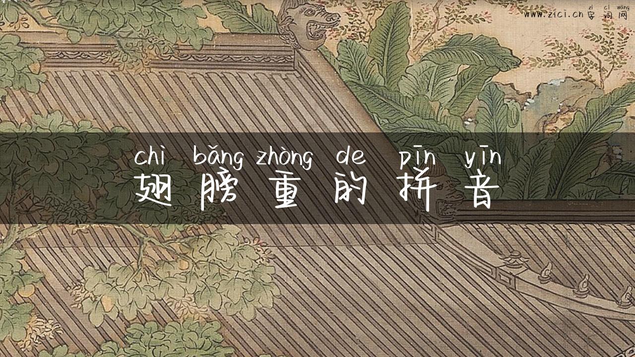 翅膀重的拼音
