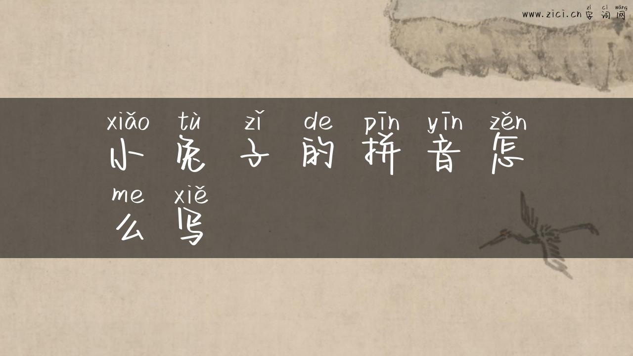 小兔子的拼音怎么写