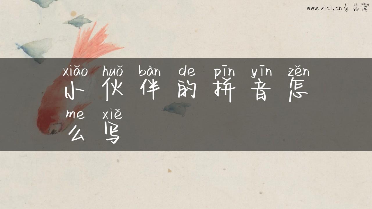 小伙伴的拼音怎么写