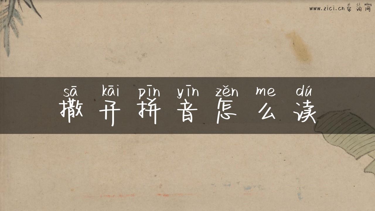 撒开拼音怎么读
