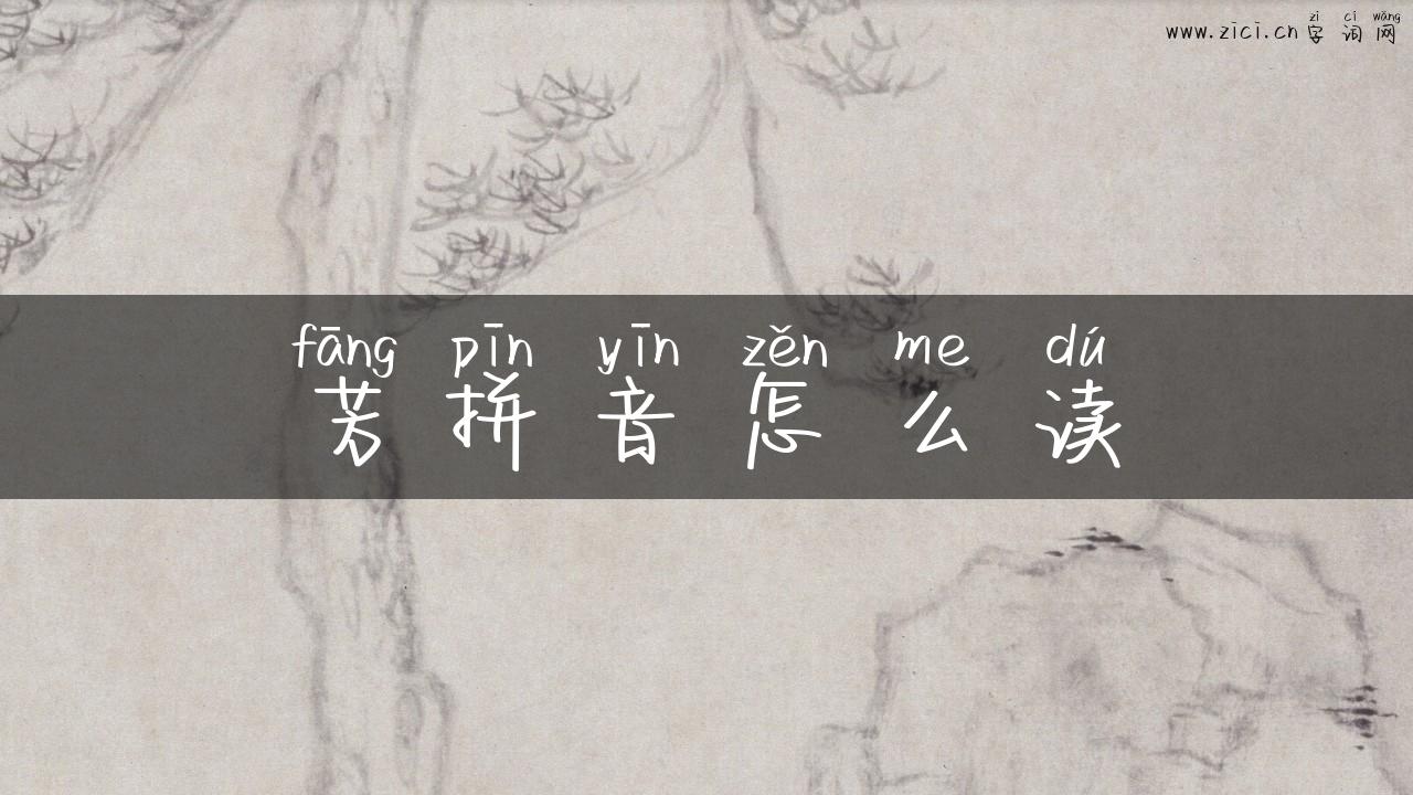 芳拼音怎么读