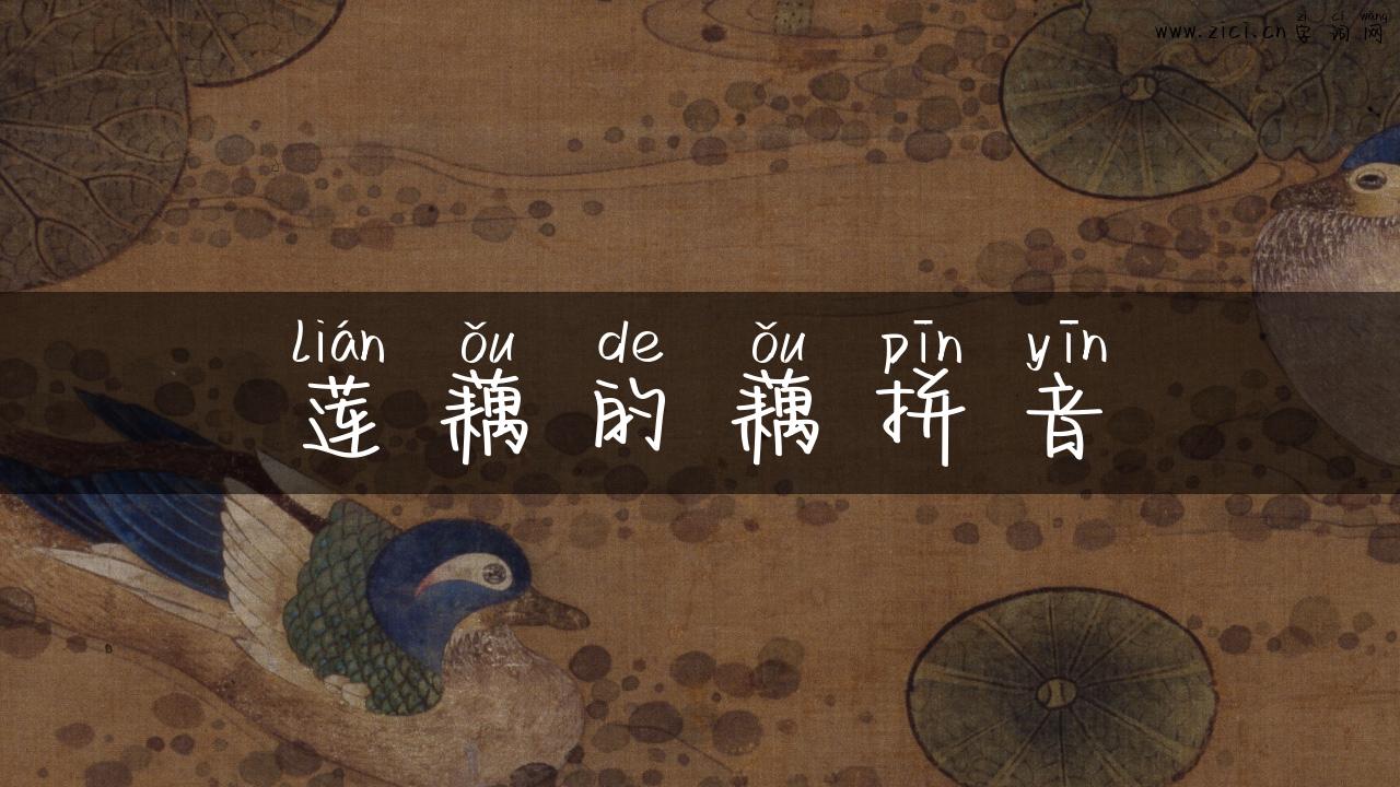 莲藕的藕拼音