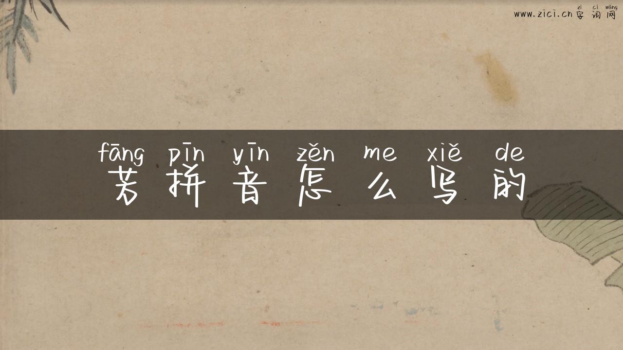 芳拼音怎么写的