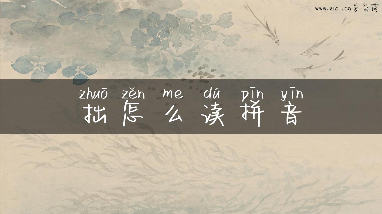 拙怎么读拼音