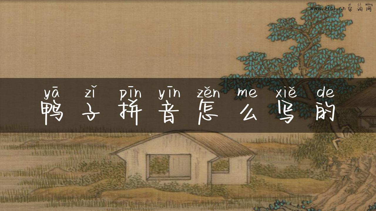 鸭子拼音怎么写的