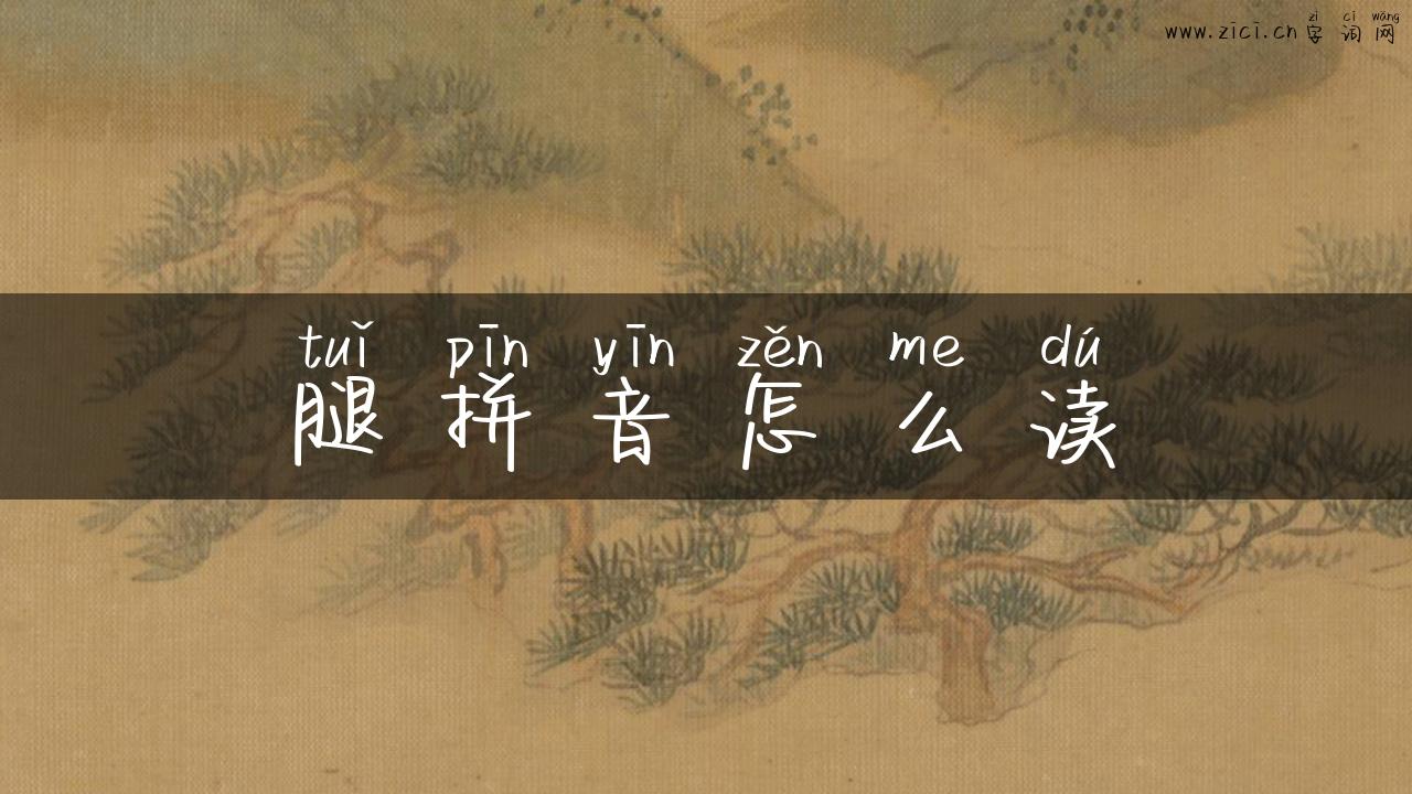 腿拼音怎么读