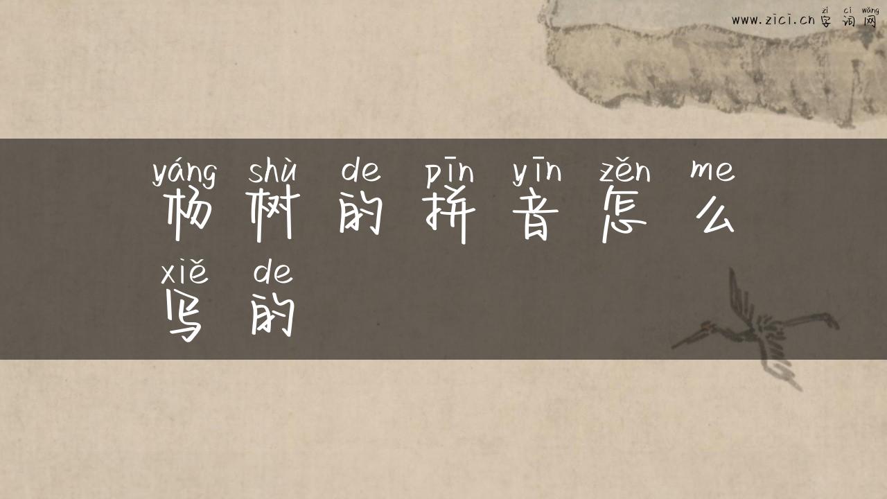 杨树的拼音怎么写的