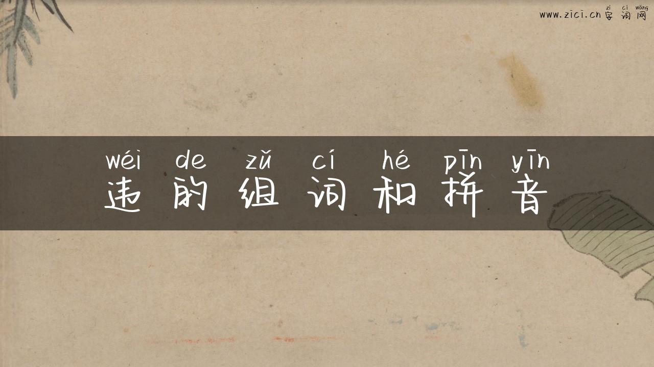 违的组词和拼音