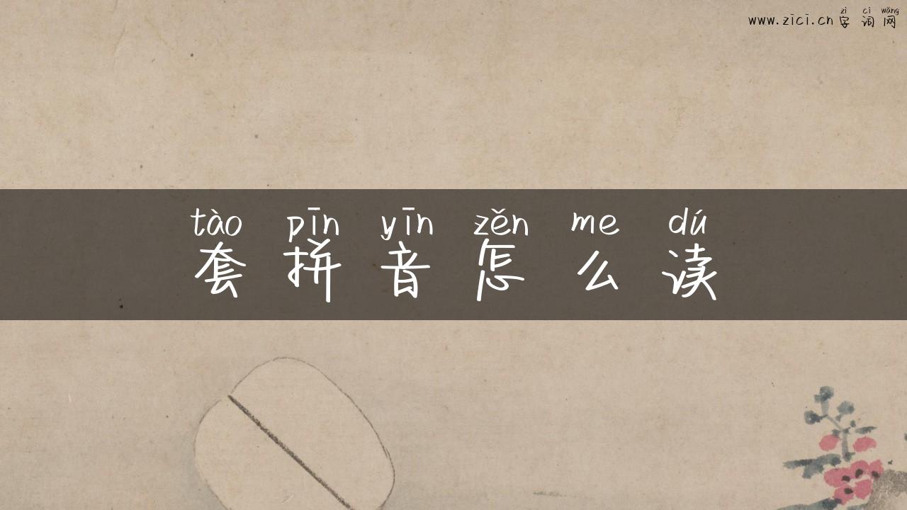 套拼音怎么读