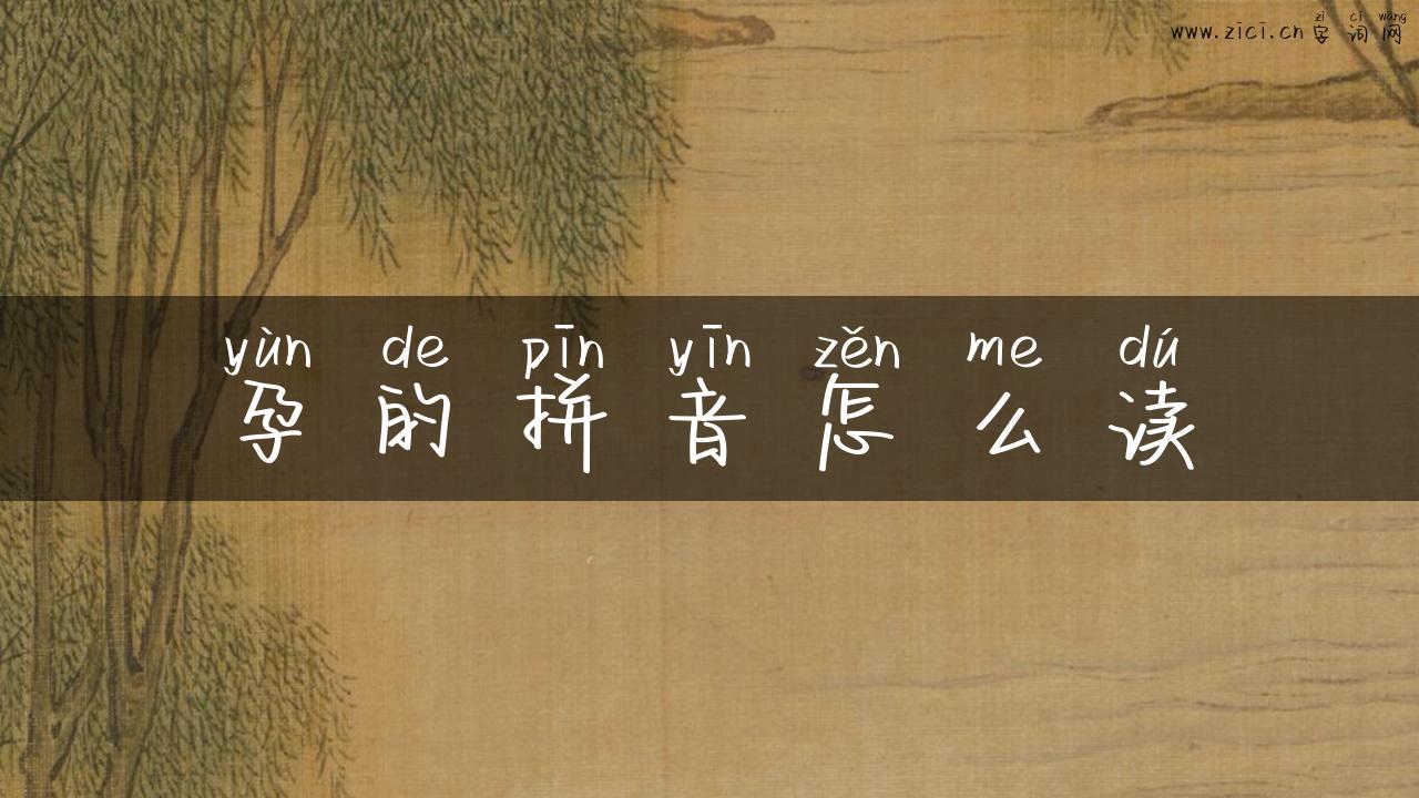 孕的拼音怎么读