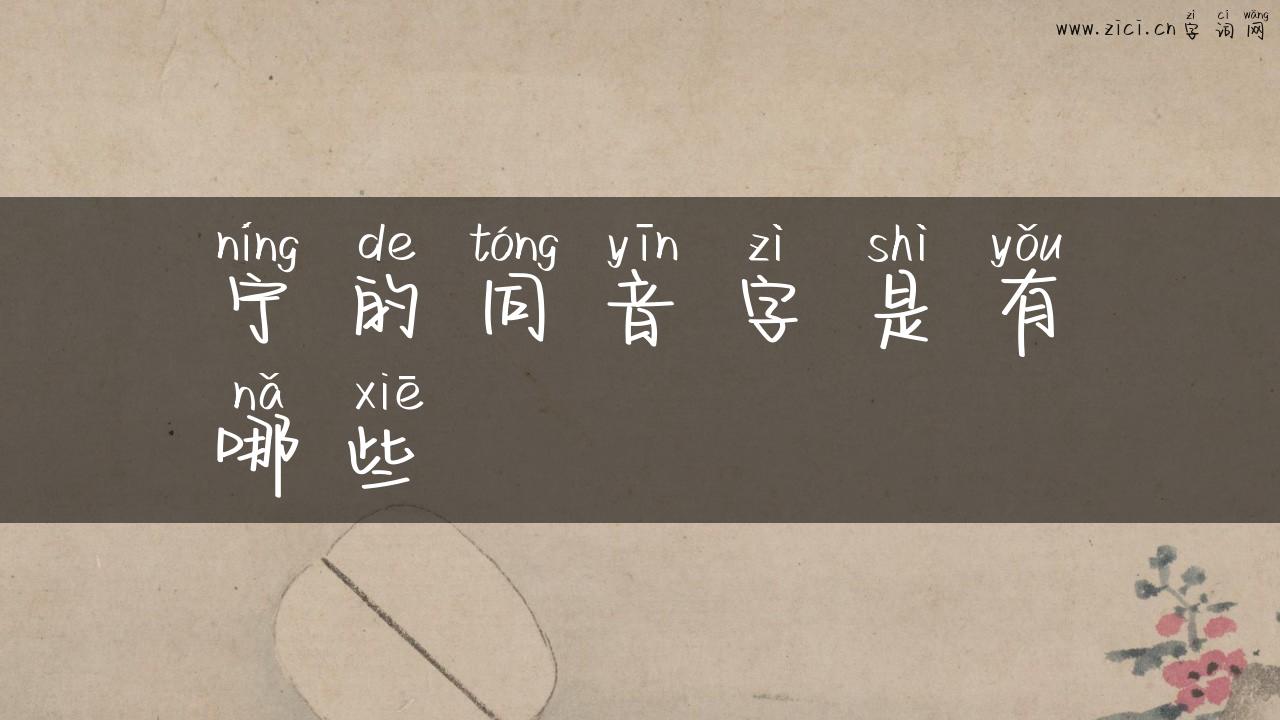 宁的同音字是有哪些