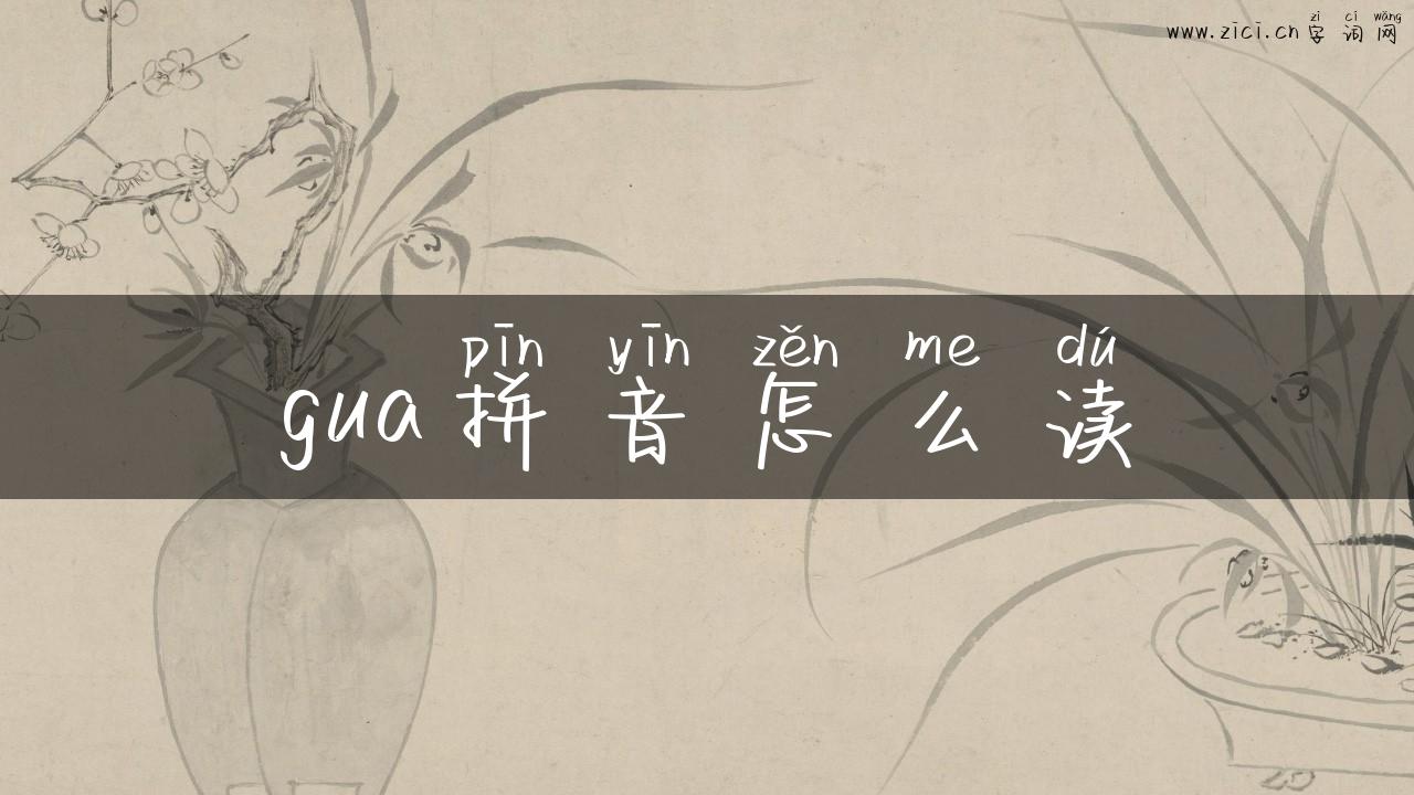 gua拼音怎么读
