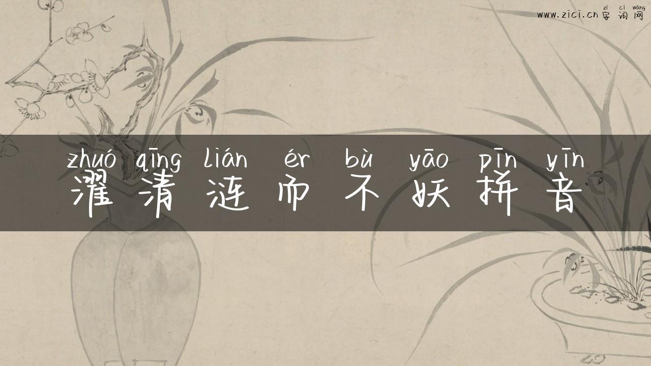 濯清涟而不妖拼音