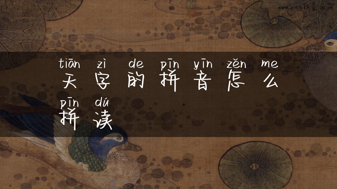 天字的拼音怎么拼读