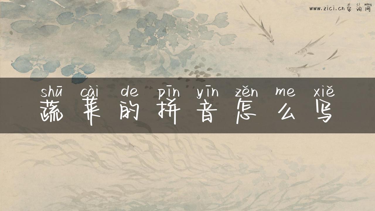 蔬菜的拼音怎么写
