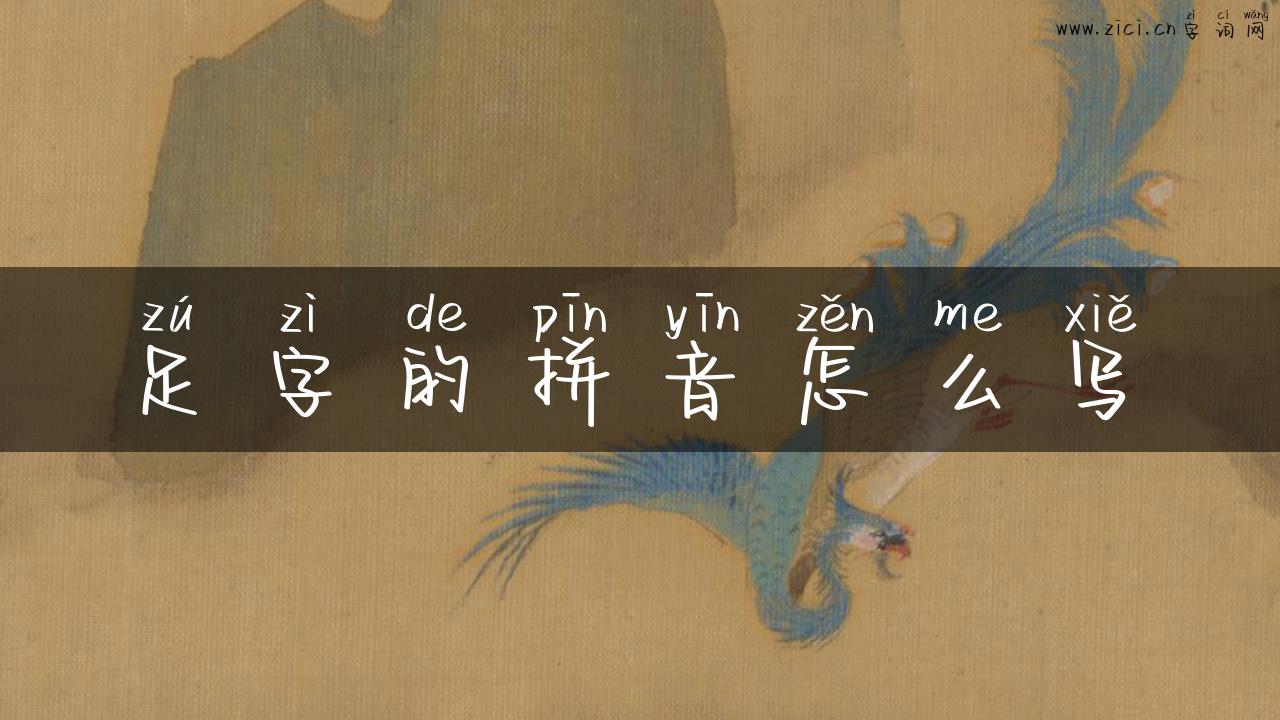 足字的拼音怎么写