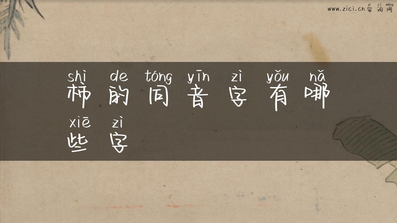 柿的同音字有哪些字