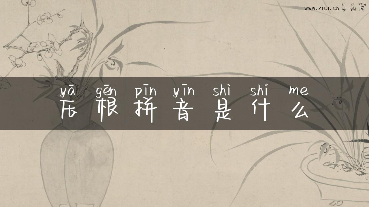 压根拼音是什么